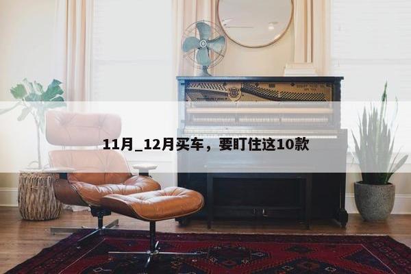 11月_12月买车，要盯住这10款