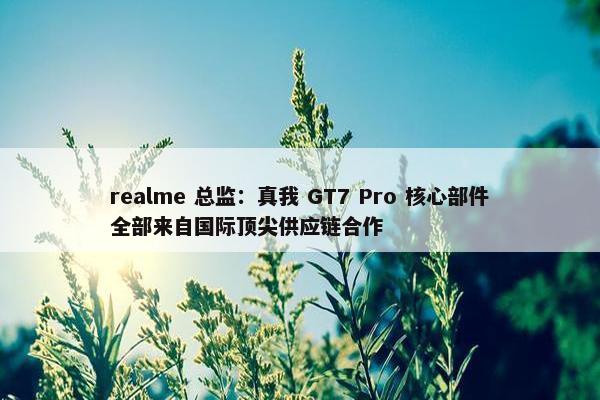 realme 总监：真我 GT7 Pro 核心部件全部来自国际顶尖供应链合作