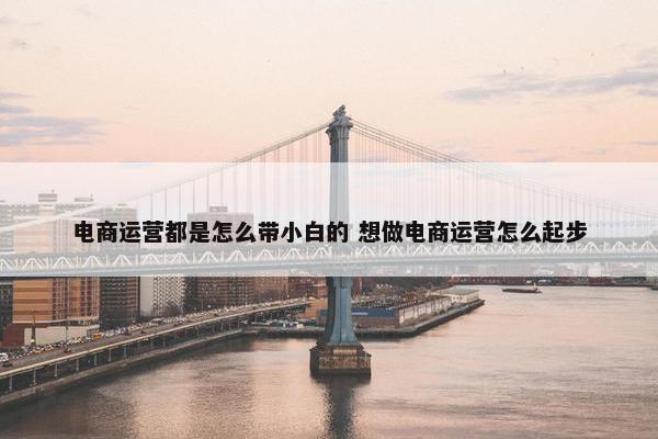 电商运营都是怎么带小白的 想做电商运营怎么起步