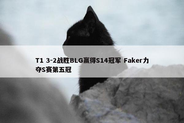 T1 3-2战胜BLG赢得S14冠军 Faker力夺S赛第五冠