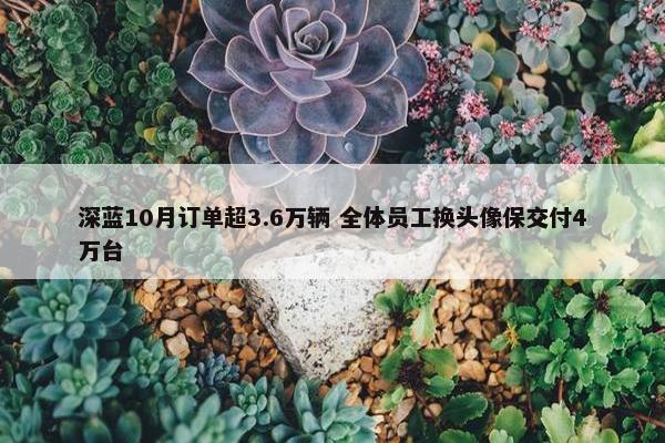 深蓝10月订单超3.6万辆 全体员工换头像保交付4万台