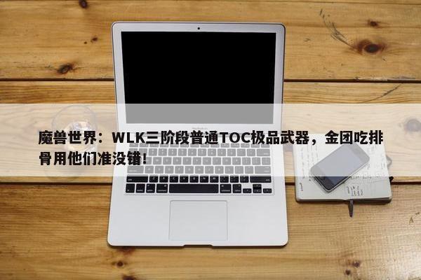 魔兽世界：WLK三阶段普通TOC极品武器，金团吃排骨用他们准没错！