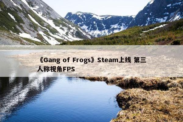 《Gang of Frogs》Steam上线 第三人称视角FPS