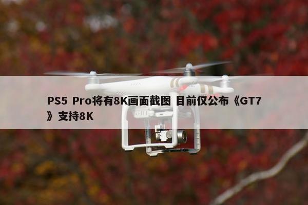 PS5 Pro将有8K画面截图 目前仅公布《GT7》支持8K