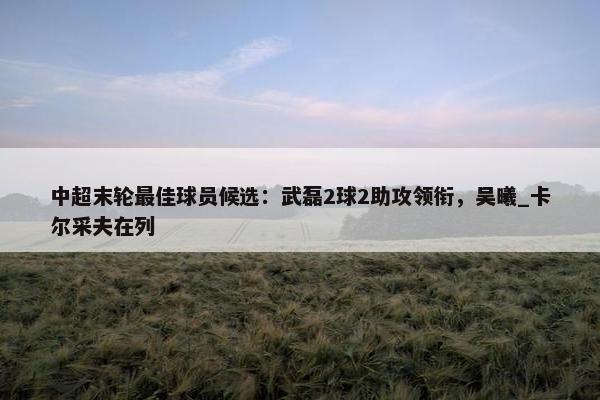 中超末轮最佳球员候选：武磊2球2助攻领衔，吴曦_卡尔采夫在列