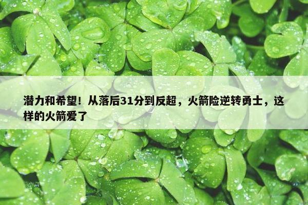 潜力和希望！从落后31分到反超，火箭险逆转勇士，这样的火箭爱了