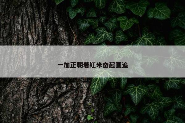 一加正朝着红米奋起直追