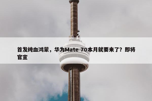 首发纯血鸿蒙，华为Mate 70本月就要来了？即将官宣