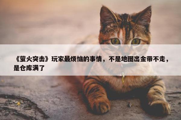 《萤火突击》玩家最烦恼的事情，不是地图出金带不走，是仓库满了