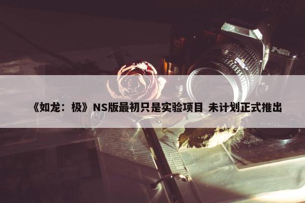 《如龙：极》NS版最初只是实验项目 未计划正式推出