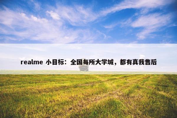 realme 小目标：全国每所大学城，都有真我售后