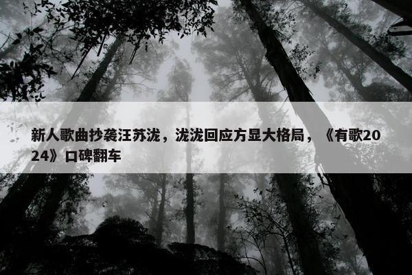 新人歌曲抄袭汪苏泷，泷泷回应方显大格局，《有歌2024》口碑翻车