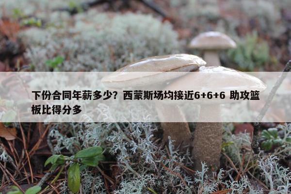 下份合同年薪多少？西蒙斯场均接近6+6+6 助攻篮板比得分多