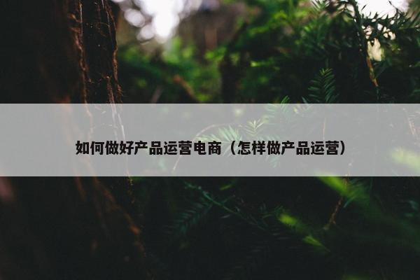 如何做好产品运营电商（怎样做产品运营）