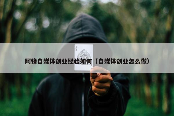 阿锋自媒体创业经验如何（自媒体创业怎么做）