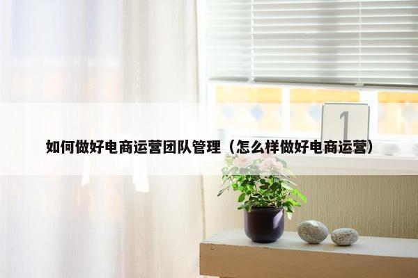 如何做好电商运营团队管理（怎么样做好电商运营）