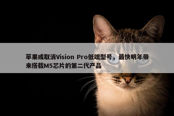 苹果或取消Vision Pro低端型号，最快明年带来搭载M5芯片的第二代产品