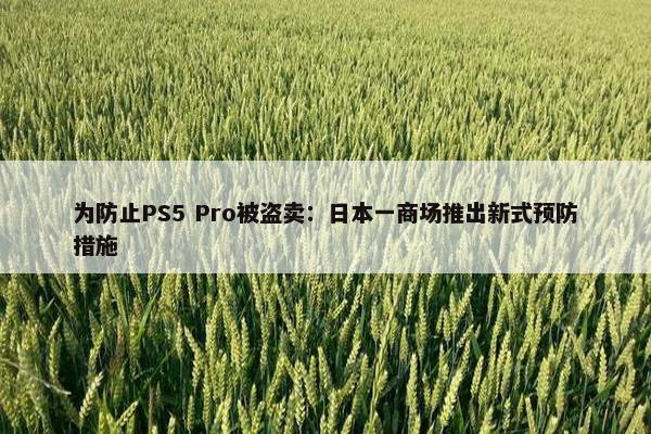 为防止PS5 Pro被盗卖：日本一商场推出新式预防措施