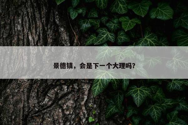 景德镇，会是下一个大理吗？