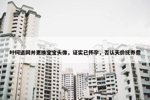 叶珂退网并更换宝宝头像，证实已怀孕，否认天价抚养费