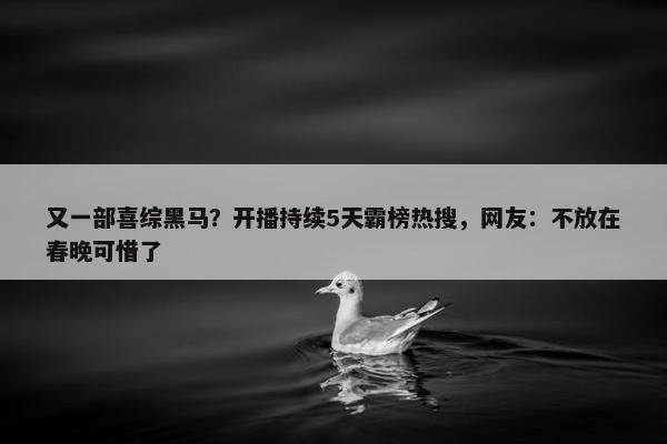 又一部喜综黑马？开播持续5天霸榜热搜，网友：不放在春晚可惜了