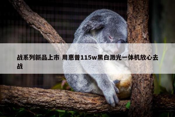 战系列新品上市 用惠普115w黑白激光一体机放心去战