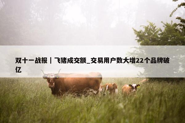 双十一战报｜飞猪成交额_交易用户数大增22个品牌破亿