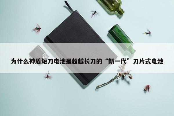 为什么神盾短刀电池是超越长刀的“新一代”刀片式电池