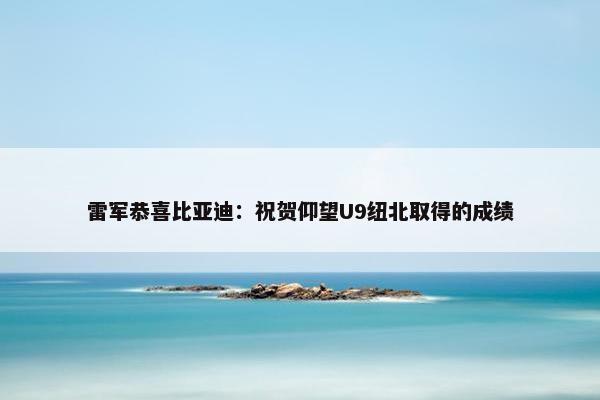 雷军恭喜比亚迪：祝贺仰望U9纽北取得的成绩