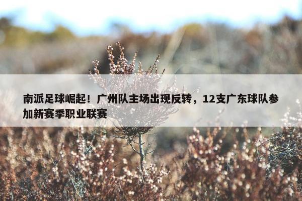 南派足球崛起！广州队主场出现反转，12支广东球队参加新赛季职业联赛