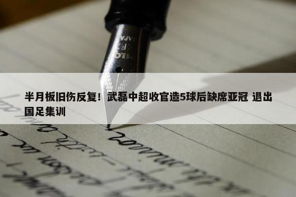 半月板旧伤反复！武磊中超收官造5球后缺席亚冠 退出国足集训