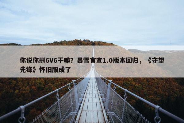 你说你删6V6干嘛？暴雪官宣1.0版本回归，《守望先锋》怀旧服成了