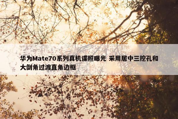 华为Mate70系列真机谍照曝光 采用居中三挖孔和大倒角过渡直角边框