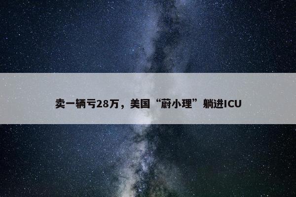 卖一辆亏28万，美国“蔚小理”躺进ICU