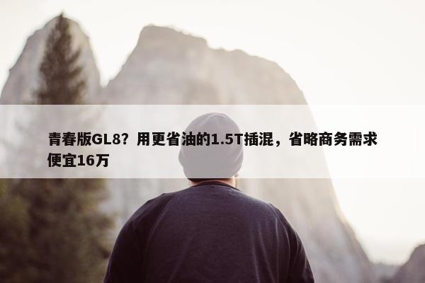 青春版GL8？用更省油的1.5T插混，省略商务需求便宜16万