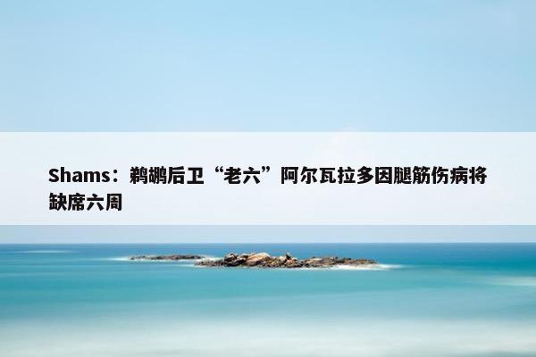 Shams：鹈鹕后卫“老六”阿尔瓦拉多因腿筋伤病将缺席六周