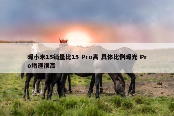 曝小米15销量比15 Pro高 具体比例曝光 Pro增速很高