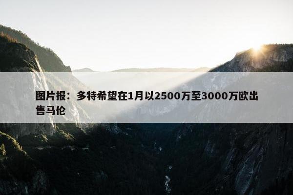 图片报：多特希望在1月以2500万至3000万欧出售马伦