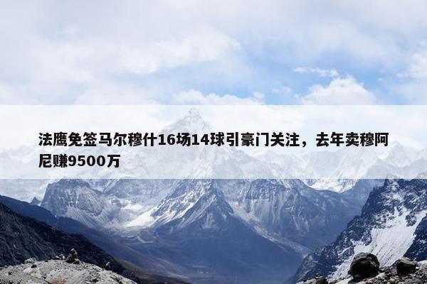 法鹰免签马尔穆什16场14球引豪门关注，去年卖穆阿尼赚9500万