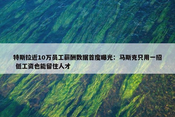 特斯拉近10万员工薪酬数据首度曝光：马斯克只用一招 低工资也能留住人才