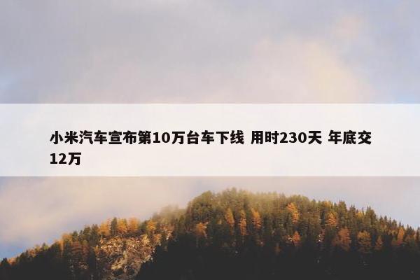 小米汽车宣布第10万台车下线 用时230天 年底交12万