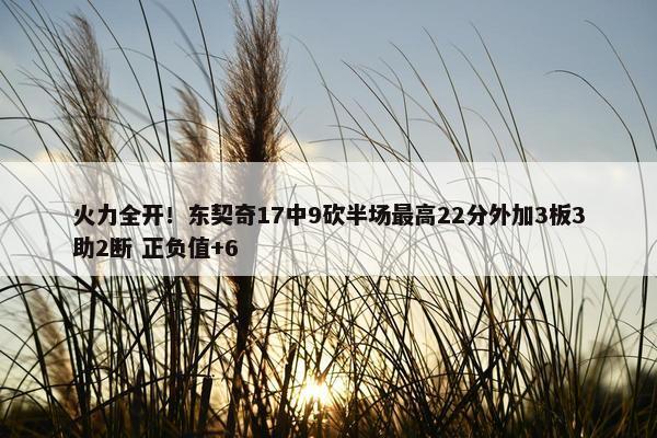 火力全开！东契奇17中9砍半场最高22分外加3板3助2断 正负值+6