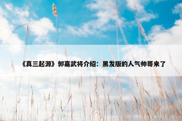 《真三起源》郭嘉武将介绍：黑发版的人气帅哥来了