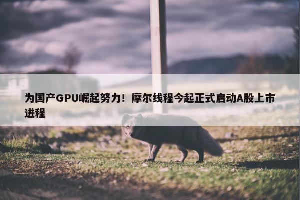 为国产GPU崛起努力！摩尔线程今起正式启动A股上市进程