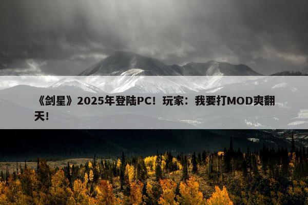 《剑星》2025年登陆PC！玩家：我要打MOD爽翻天！