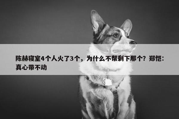 陈赫寝室4个人火了3个，为什么不帮剩下那个？郑恺：真心带不动