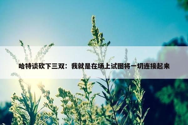 哈特谈砍下三双：我就是在场上试图将一切连接起来