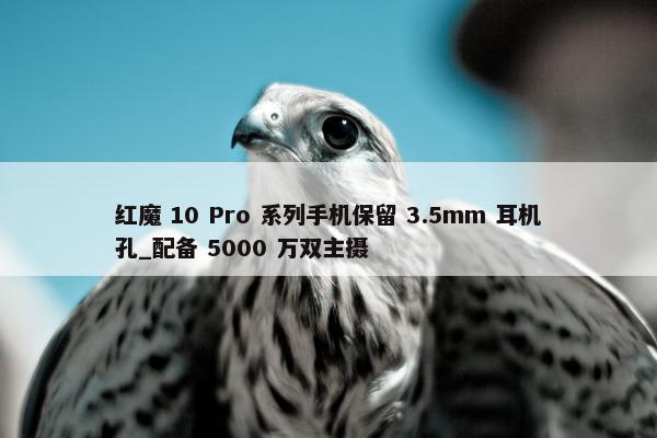 红魔 10 Pro 系列手机保留 3.5mm 耳机孔_配备 5000 万双主摄