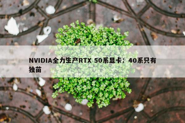 NVIDIA全力生产RTX 50系显卡：40系只有独苗