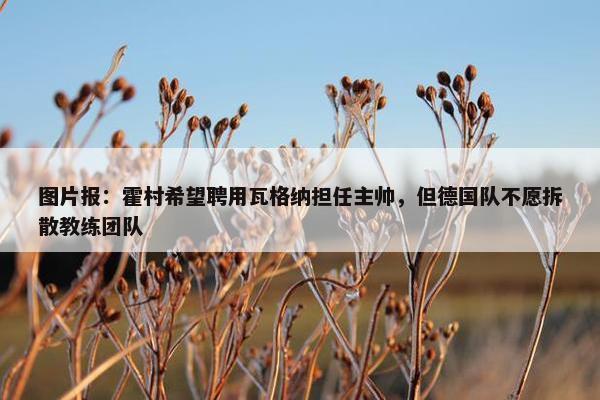 图片报：霍村希望聘用瓦格纳担任主帅，但德国队不愿拆散教练团队